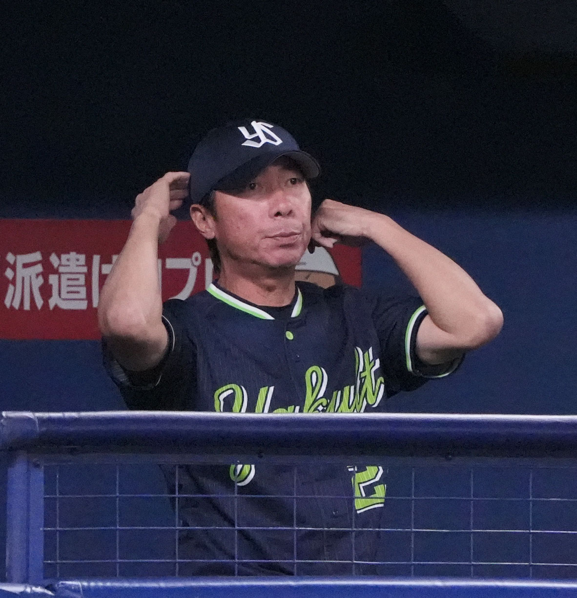 中日対ヤクルト　7回表、ベンチから試合を見つめる高津監督（撮影・森本幸一）