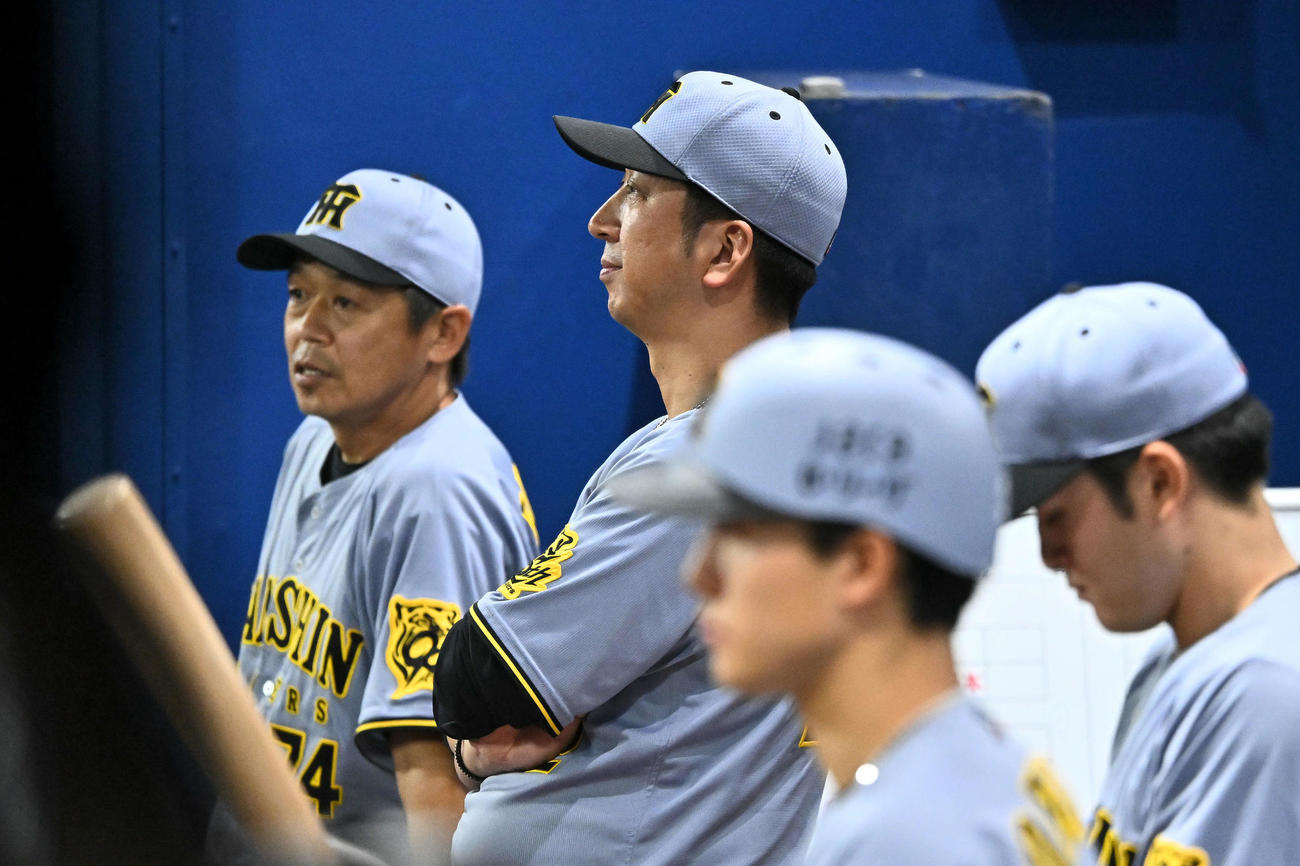 DeNA対阪神　9回表、ベンチから戦況を見守る阪神藤川監督（中央）（撮影・滝沢徹郎）