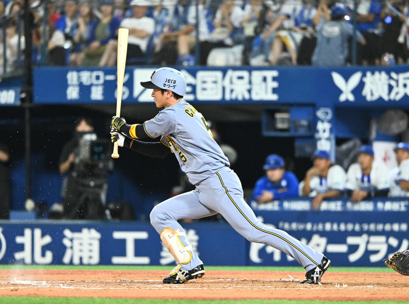 DeNA対阪神　9回表阪神2死一塁、代打近本は一ゴロに倒れる（撮影・滝沢徹郎）