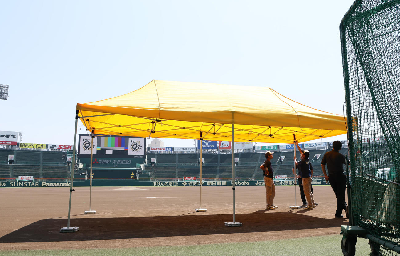 阪神対巨人　暑さ対策で日よけのテントが置かれた甲子園球場の本塁後方グラウンド（撮影・加藤哉）