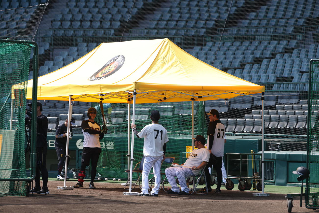 練習中にテントか張られた甲子園球場（撮影・上田博志）