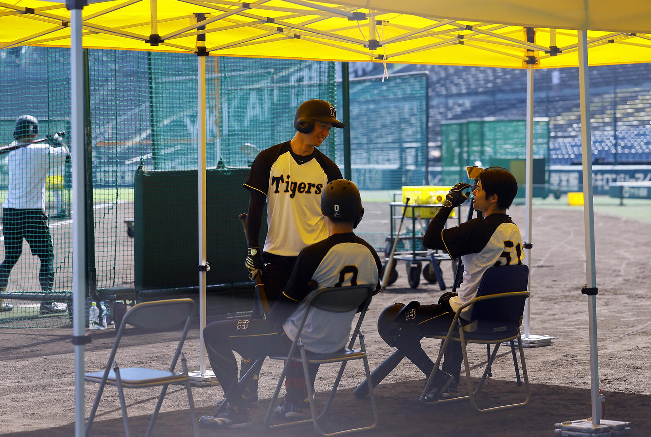 阪神対巨人　日よけテントの下で休憩する阪神右から中野、近本、木浪（撮影・藤尾明華）