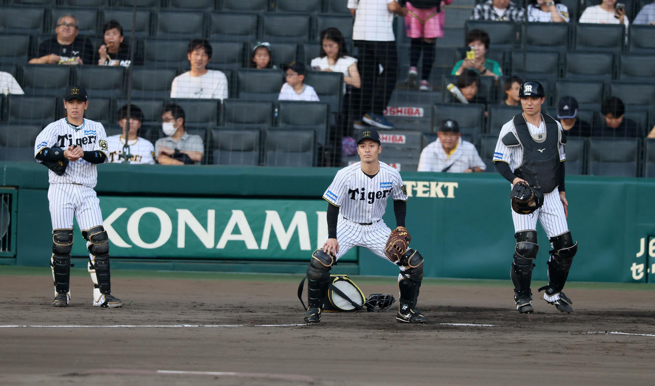 阪神対巨人　シートノック受ける左から梅野、坂本、栄枝（撮影・加藤哉）