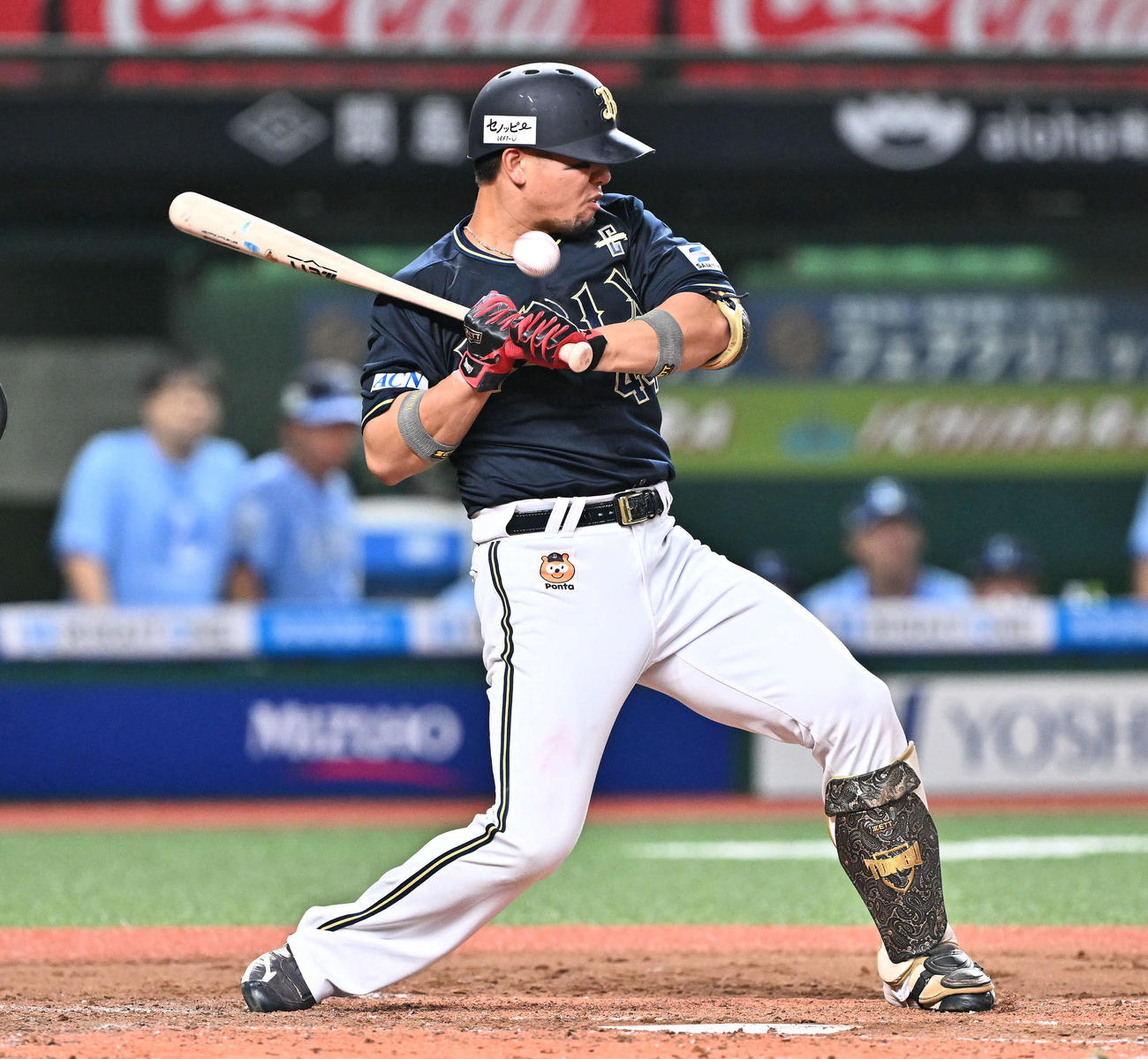 西武対オリックス　4回表オリックス無死一塁、死球を受ける頓宮（撮影・滝沢徹郎）