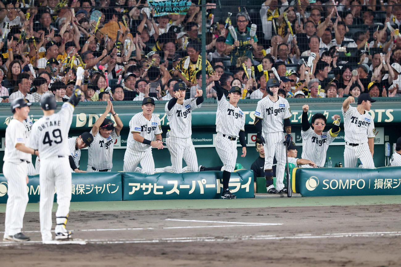 阪神対巨人　5回裏阪神1死満塁、大竹の中前適時打にベンチで笑顔を見せるナイン（撮影・加藤哉）