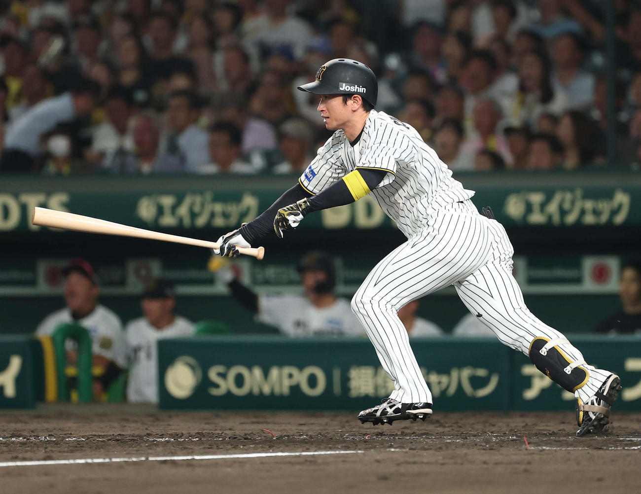 阪神対巨人　5回裏阪神1死満塁、近本は二直併殺打に倒れる（撮影・上田博志）