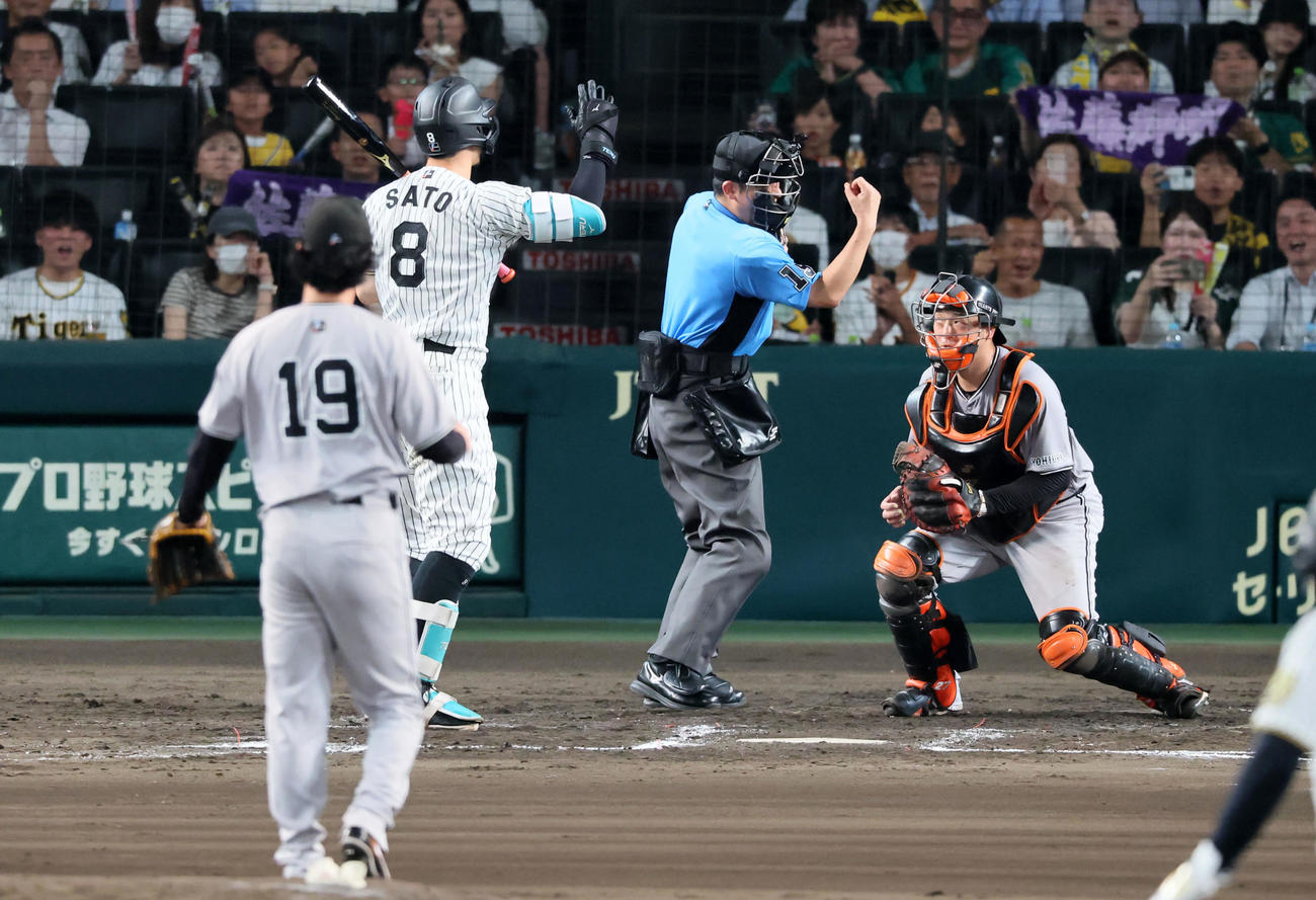 阪神対巨人　6回裏阪神1死二塁、三振する佐藤輝。投手山崎（撮影・加藤哉）