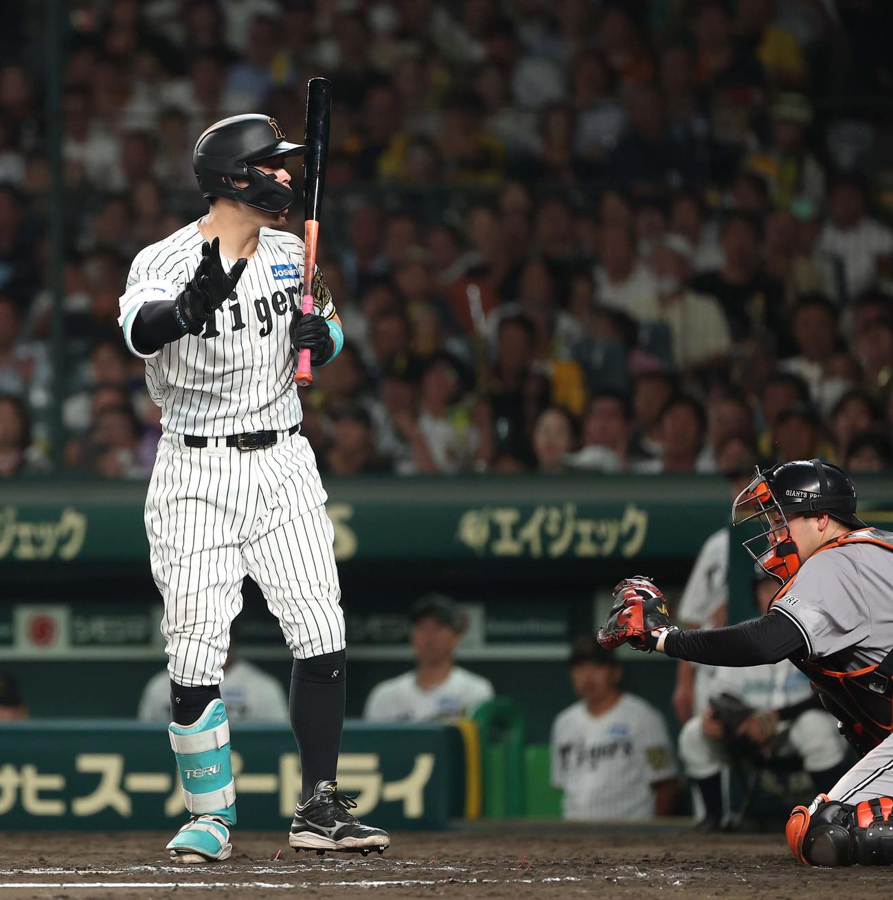 阪神対巨人　6回裏阪神1死二塁、佐藤輝は三振に倒れる（撮影・上田博志）