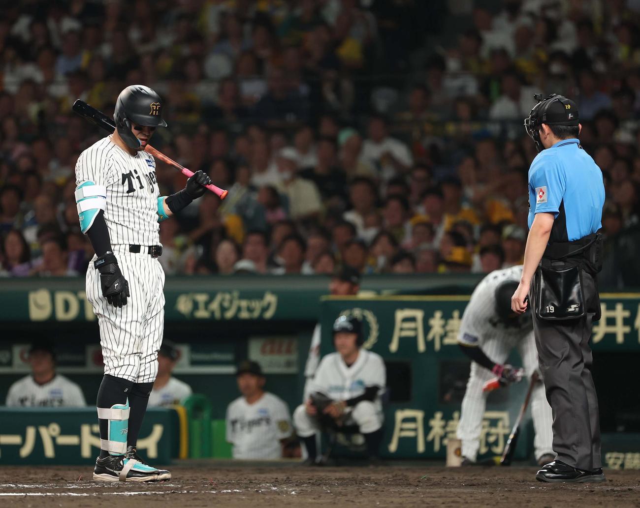阪神対巨人　6回裏阪神1死二塁、佐藤輝は三振に倒れる（撮影・上田博志）