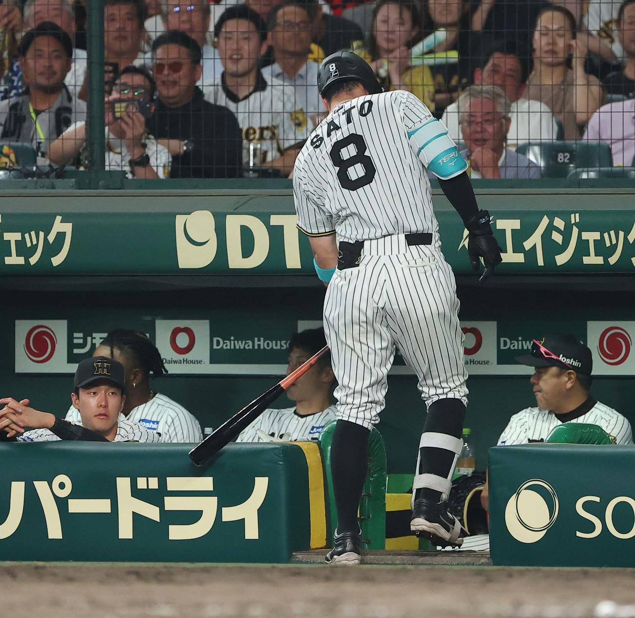 阪神対巨人　6回裏阪神1死二塁、三振に倒れた佐藤輝はバットでフェンスをたたく（撮影・上田博志）