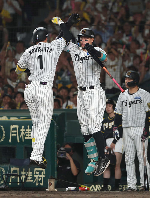 阪神】甲子園熱狂！森下翔太19号、佐藤輝明34号で1点差に 巨人大勢