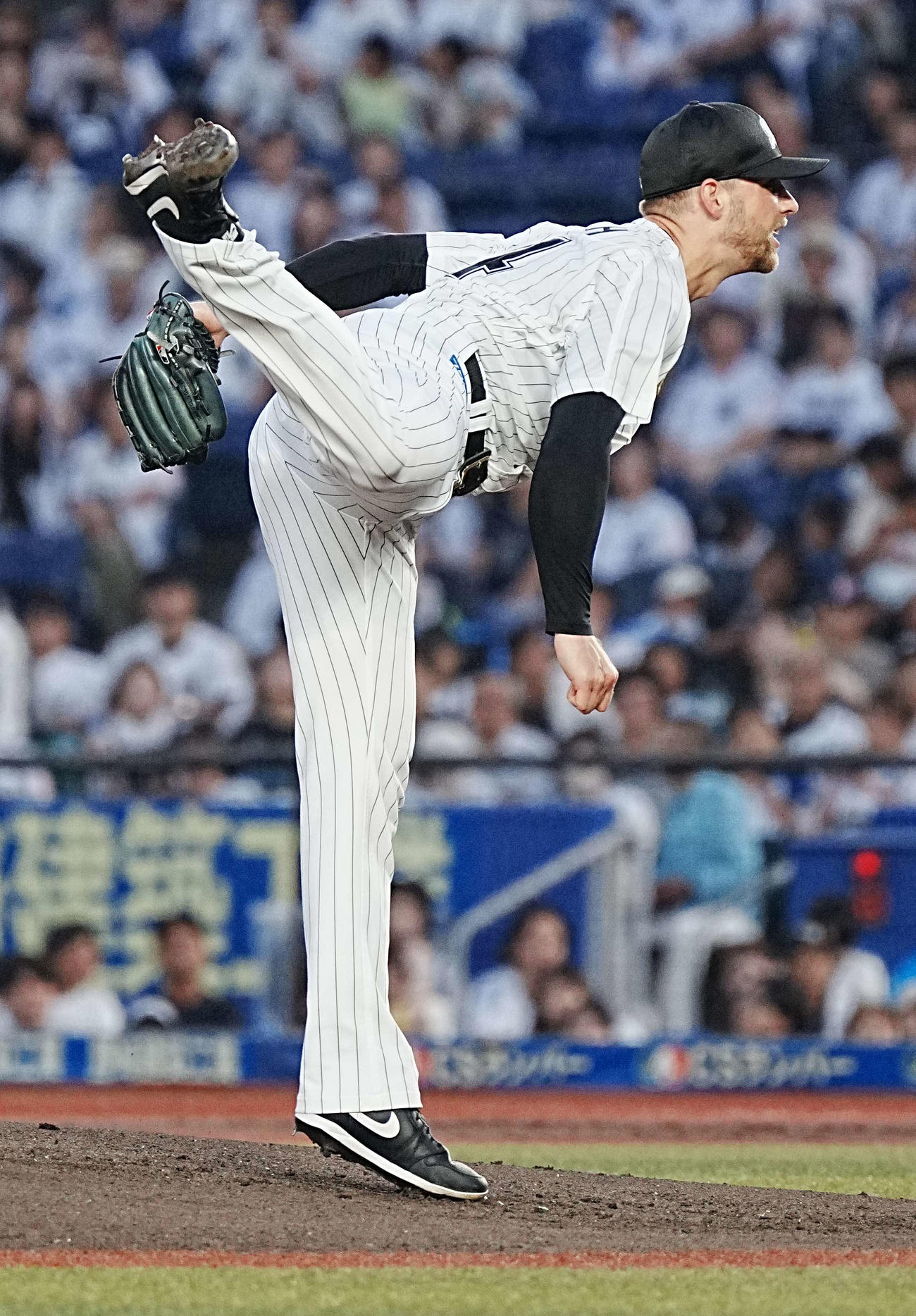 ロッテ対ソフトバンク　ロッテ先発のボス（撮影・小沢裕）
