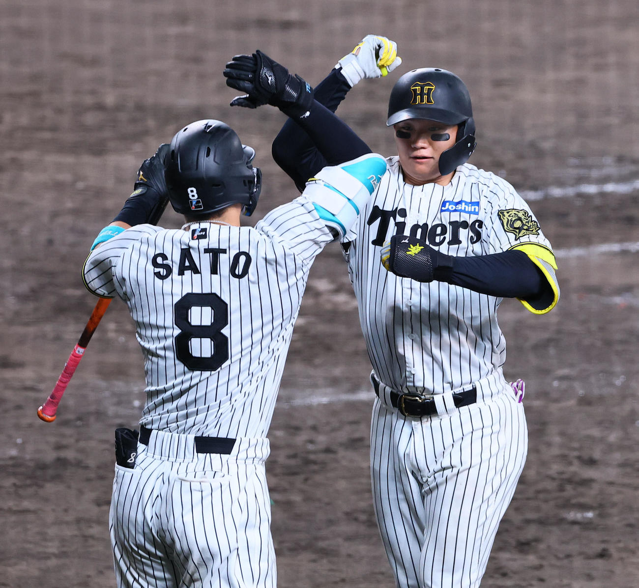 阪神対巨人　8回裏阪神1死、本塁打を放ち生還した森下は佐藤輝とタッチを交わす（撮影・藤尾明華）