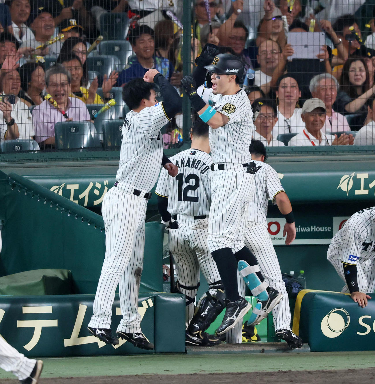 阪神対巨人　8回裏阪神1死、佐藤輝（右）は森下に続いて左越えソロ本塁打を放ちアベック弾を決め、ベンチ前でジャンプしてタッチする（撮影・加藤哉）
