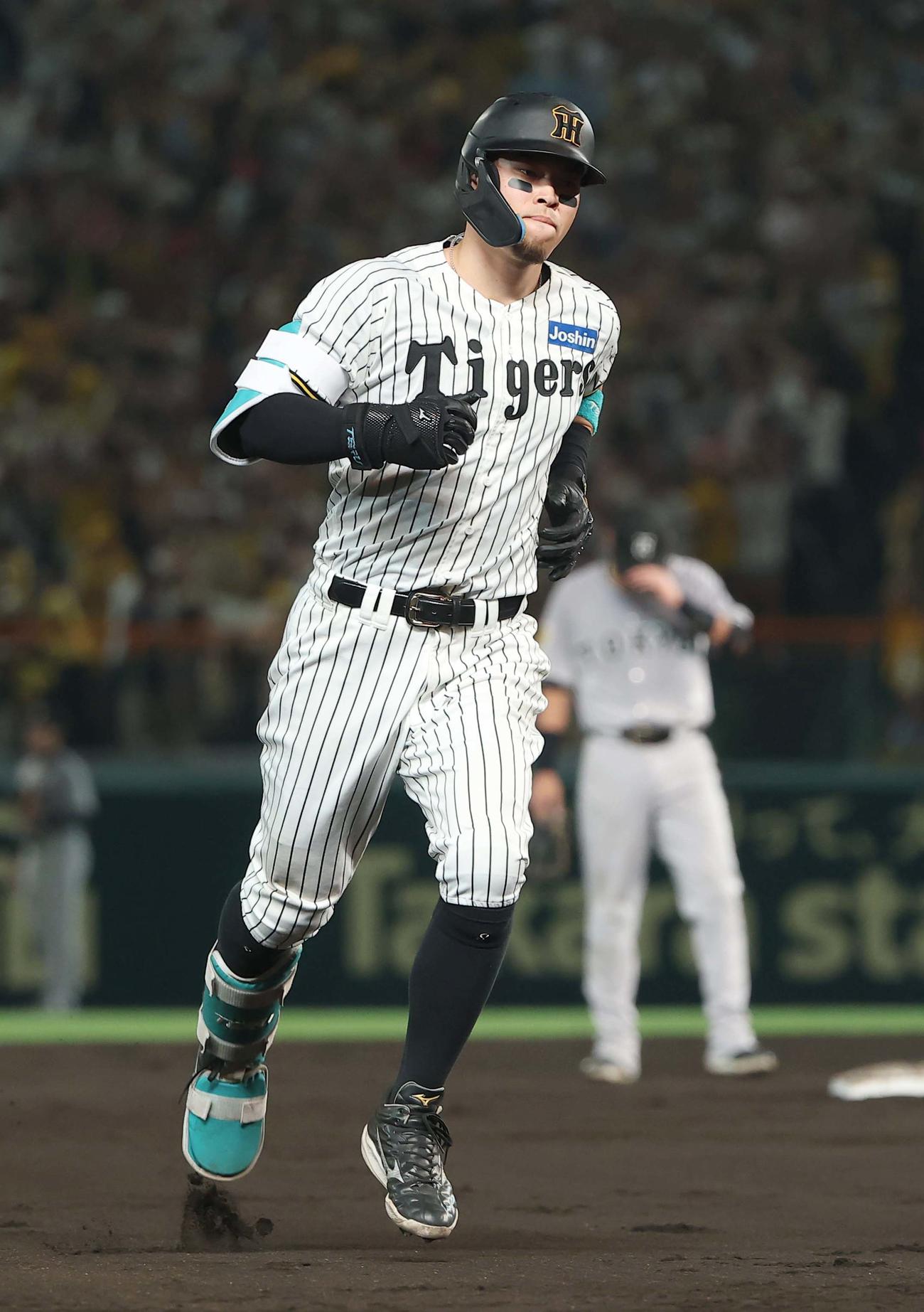 阪神対巨人　8回裏阪神1死、佐藤輝はソロ本塁打を放つ（撮影・上田博志）