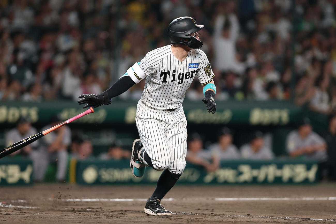 阪神対巨人　8回裏阪神1死、2者連続となる左越え本塁打を放つ佐藤輝（撮影・前田充）