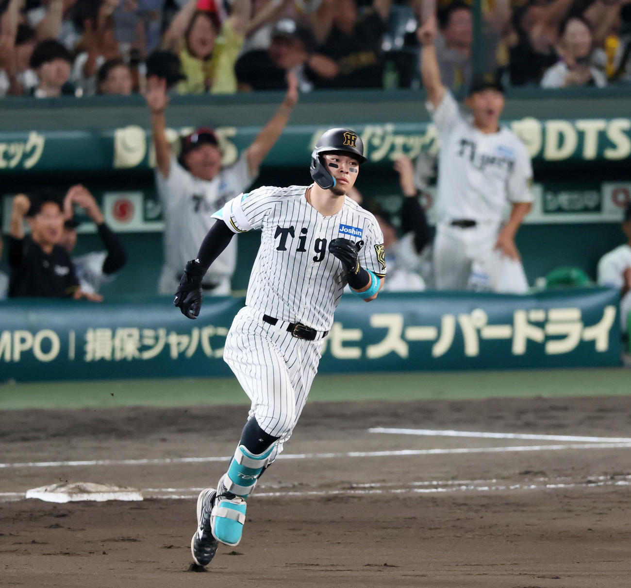 阪神対巨人　8回裏阪神1死、佐藤輝は左越えソロ本塁打を放つ（撮影・加藤哉）