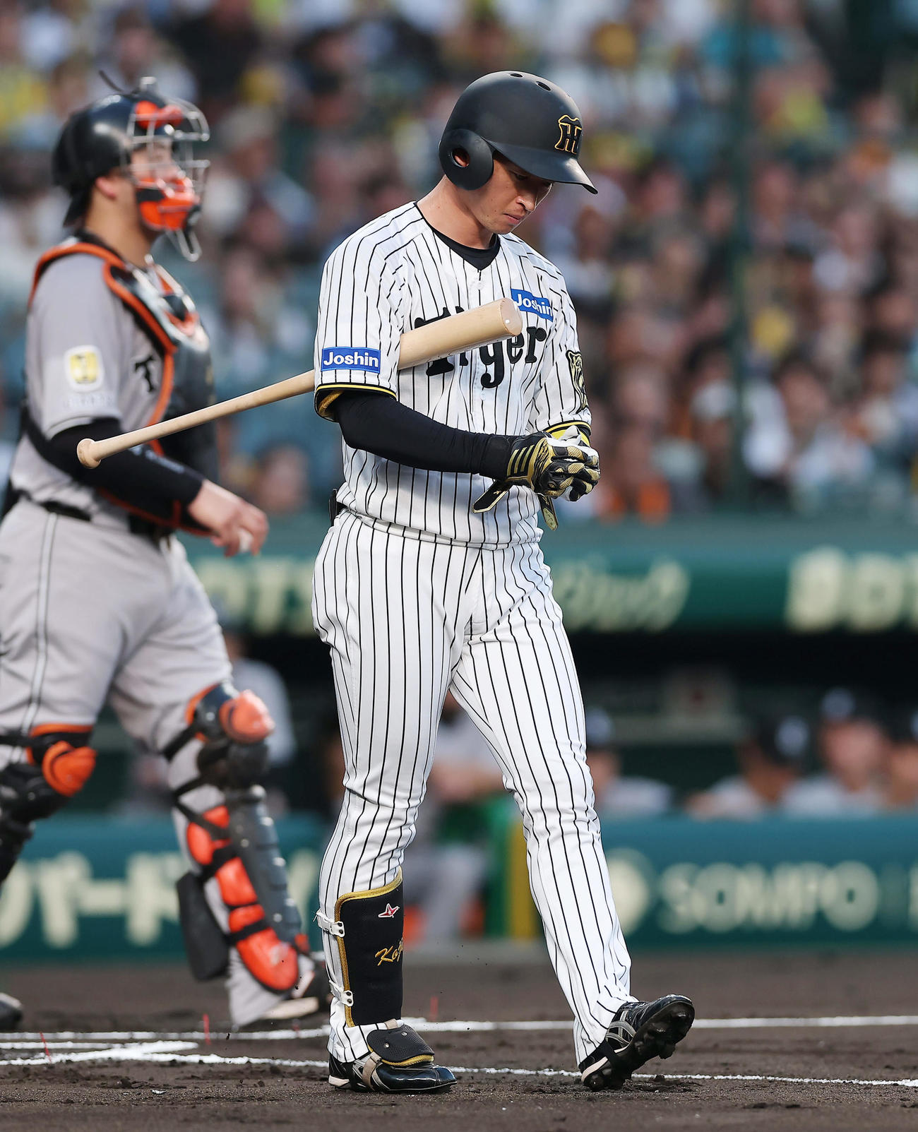 阪神対巨人　1回裏阪神無死、四球を選んだ近本（撮影・前田充）