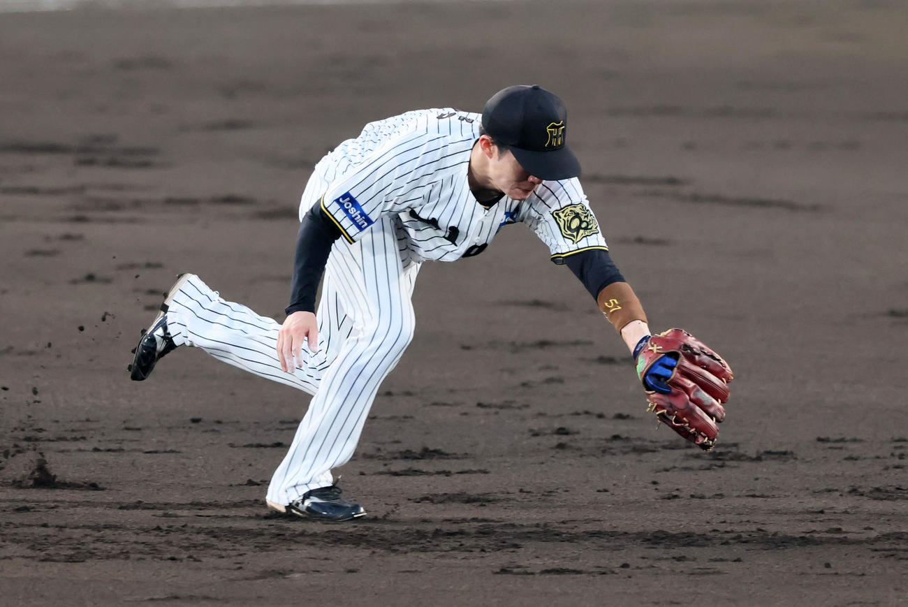阪神対巨人　2回表巨人1死一塁、中野はキャベッジの打球を好捕（撮影・加藤哉）