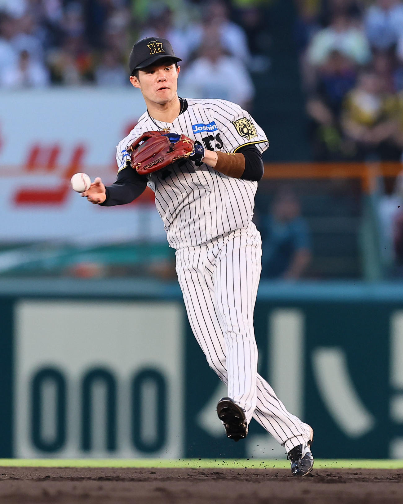 阪神対巨人　2回表巨人無死一塁、キャベッジの二ゴロで二塁へ送球する中野（撮影・藤尾明華）