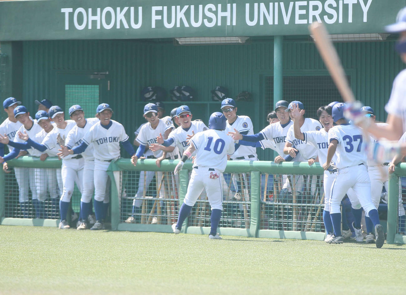 東北工業大対東北大　1回、2ランを放ちベンチに祝福される東北大・志和（撮影・高橋香奈）