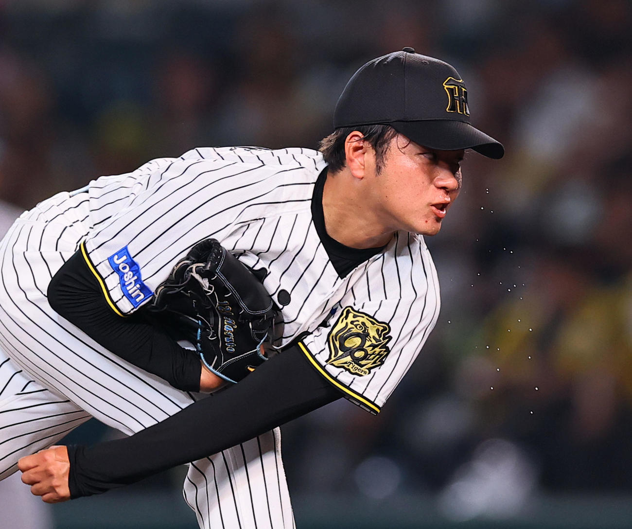 阪神対巨人　5回、汗を飛ばし力投する阪神高橋（撮影・藤尾明華）