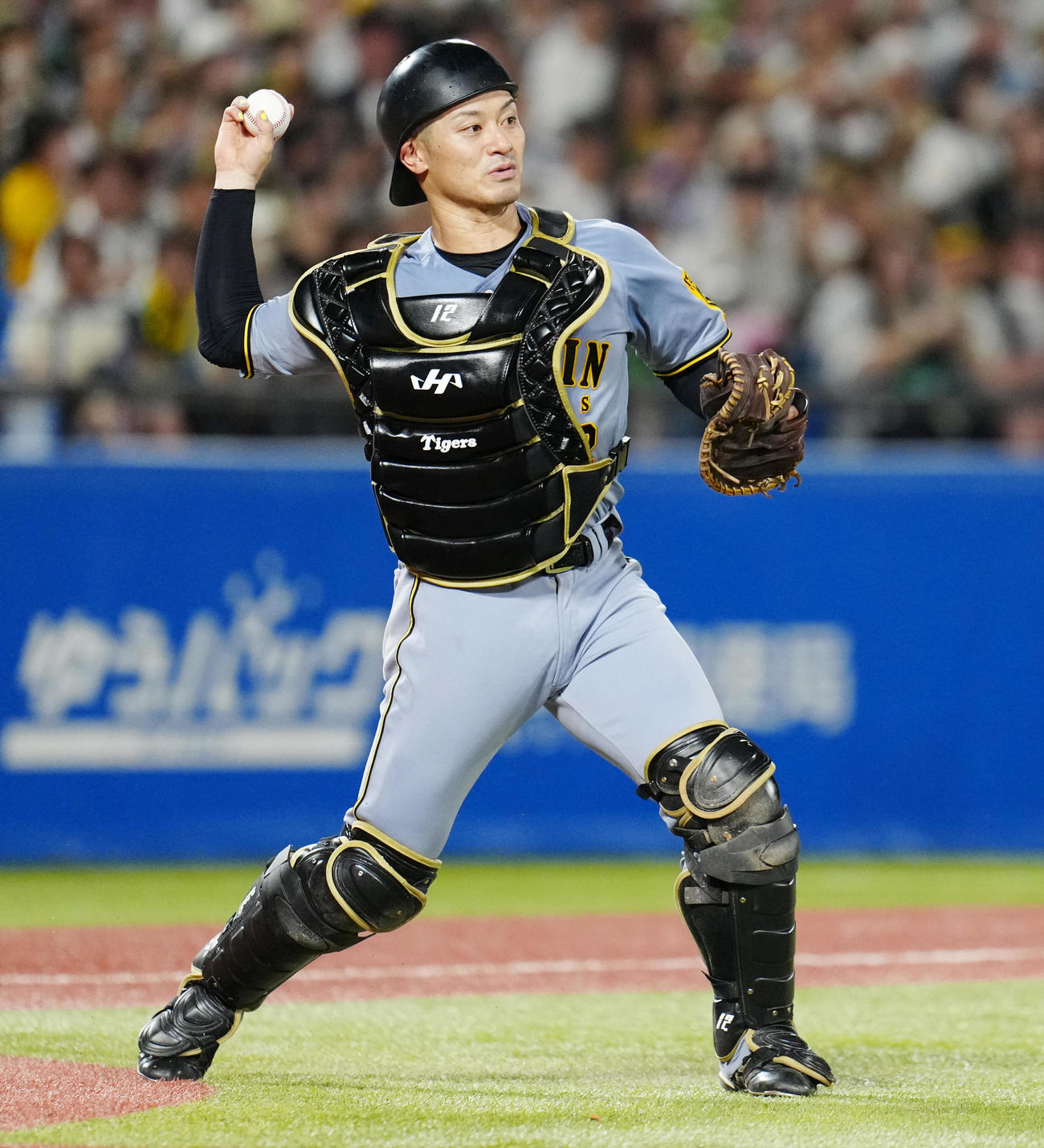 阪神坂本誠志郎（2025年8月23日撮影）