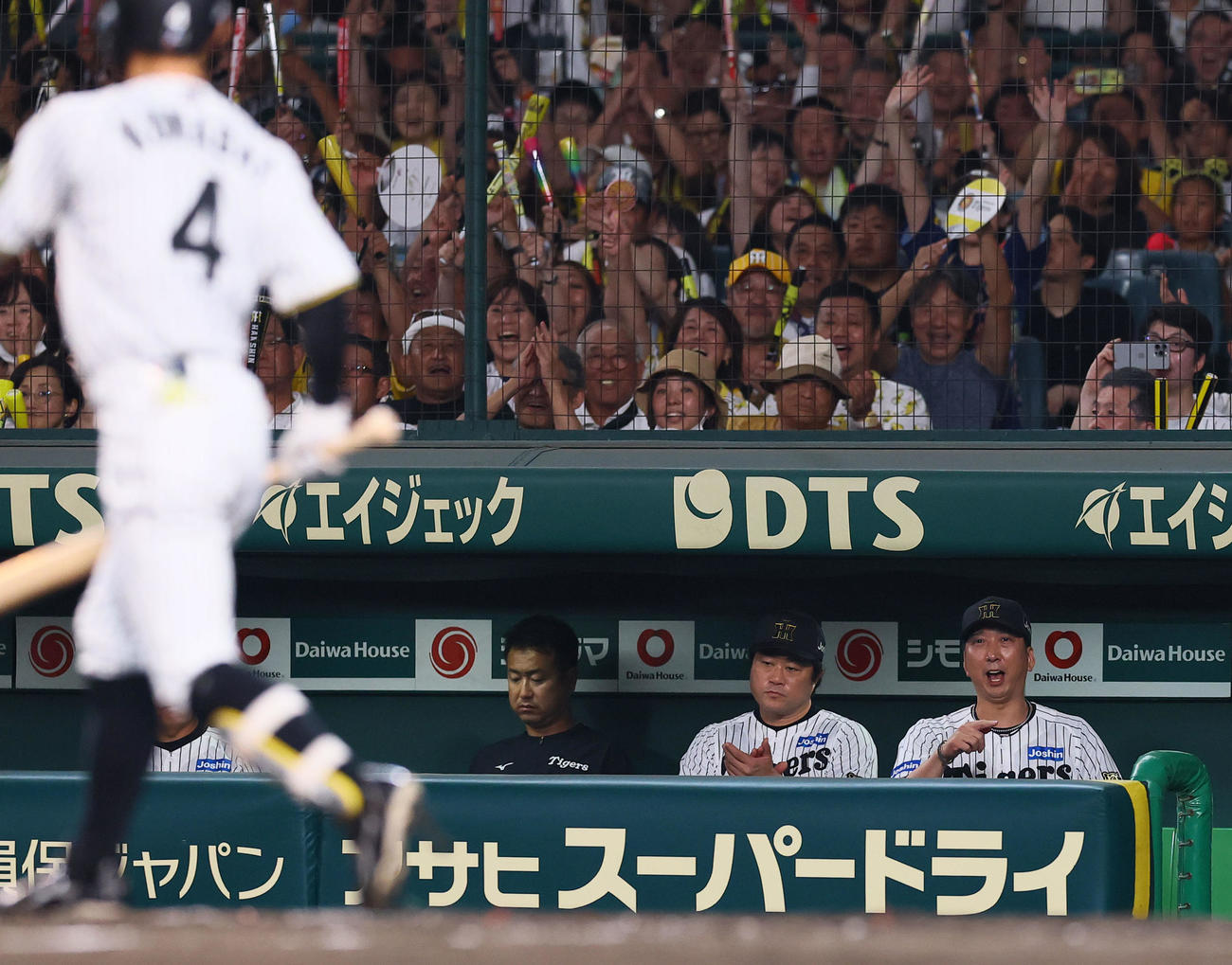 阪神対巨人　5回裏阪神2死満塁、熊谷の勝ち越し押し出しにベンチで喜ぶ藤川監督（右端）（撮影・藤尾明華）