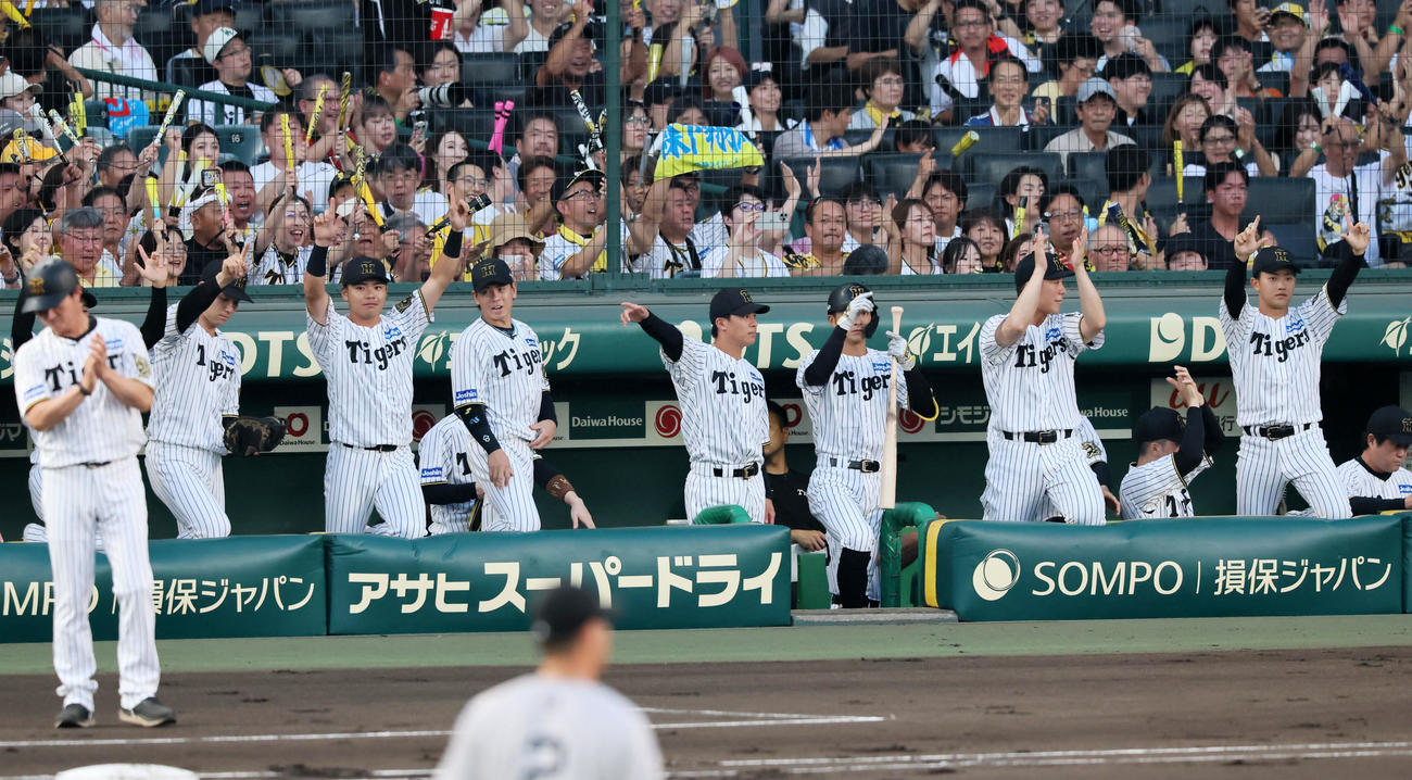阪神対巨人　1回裏阪神1死二塁、森下の中越え適時二塁打にベンチで喜ぶナイン（撮影・加藤哉）