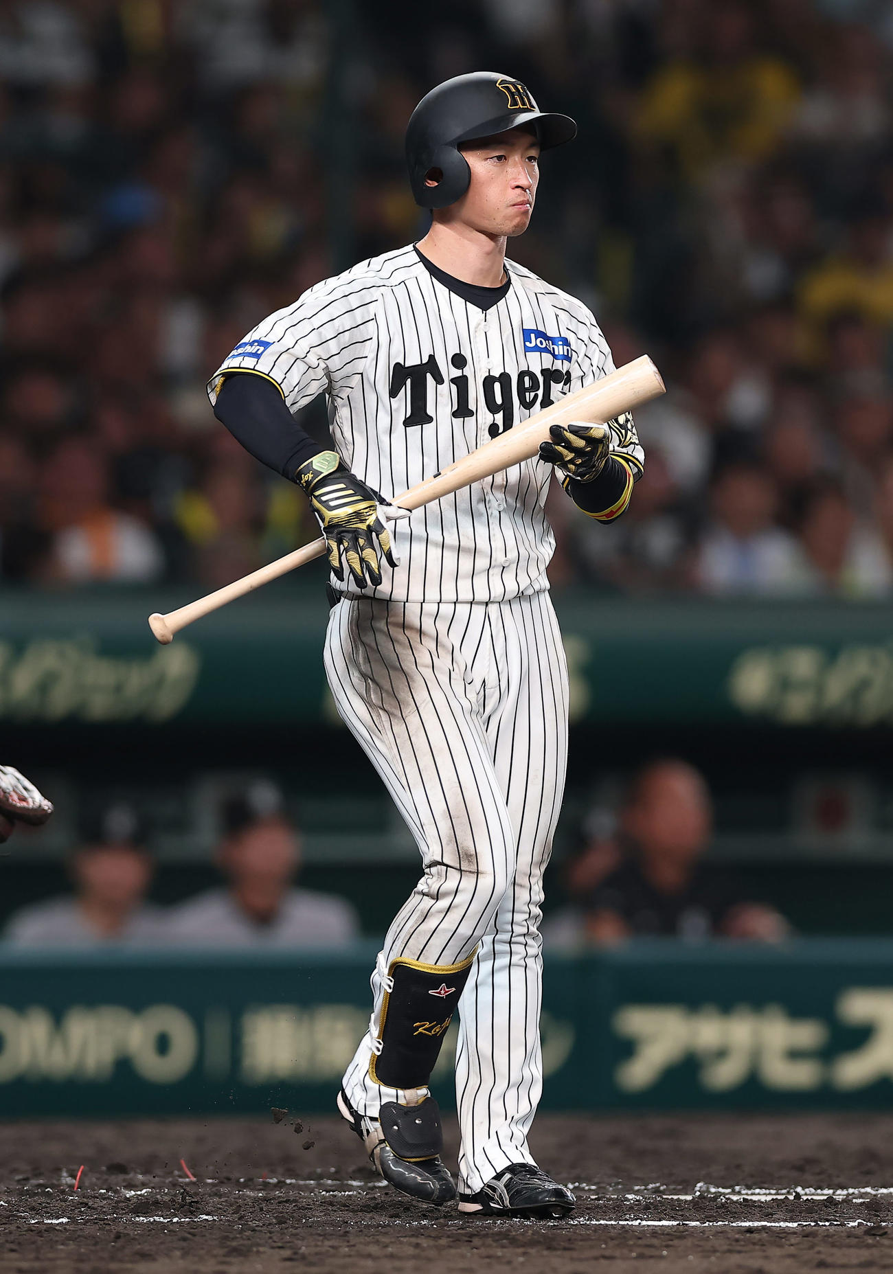 阪神対巨人　6回裏阪神1死一塁、この試合3つめの四球を選んだ近本（撮影・前田充）