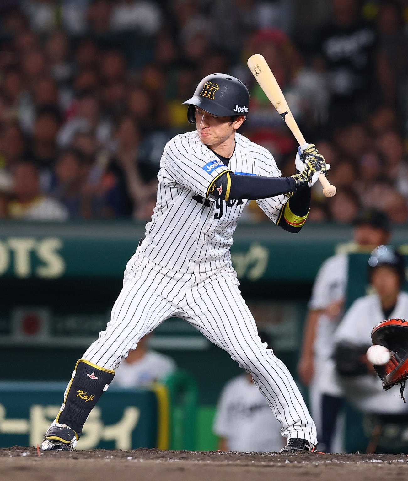 阪神対巨人　5回裏阪神無死、近本は四球を選ぶ（撮影・藤尾明華）