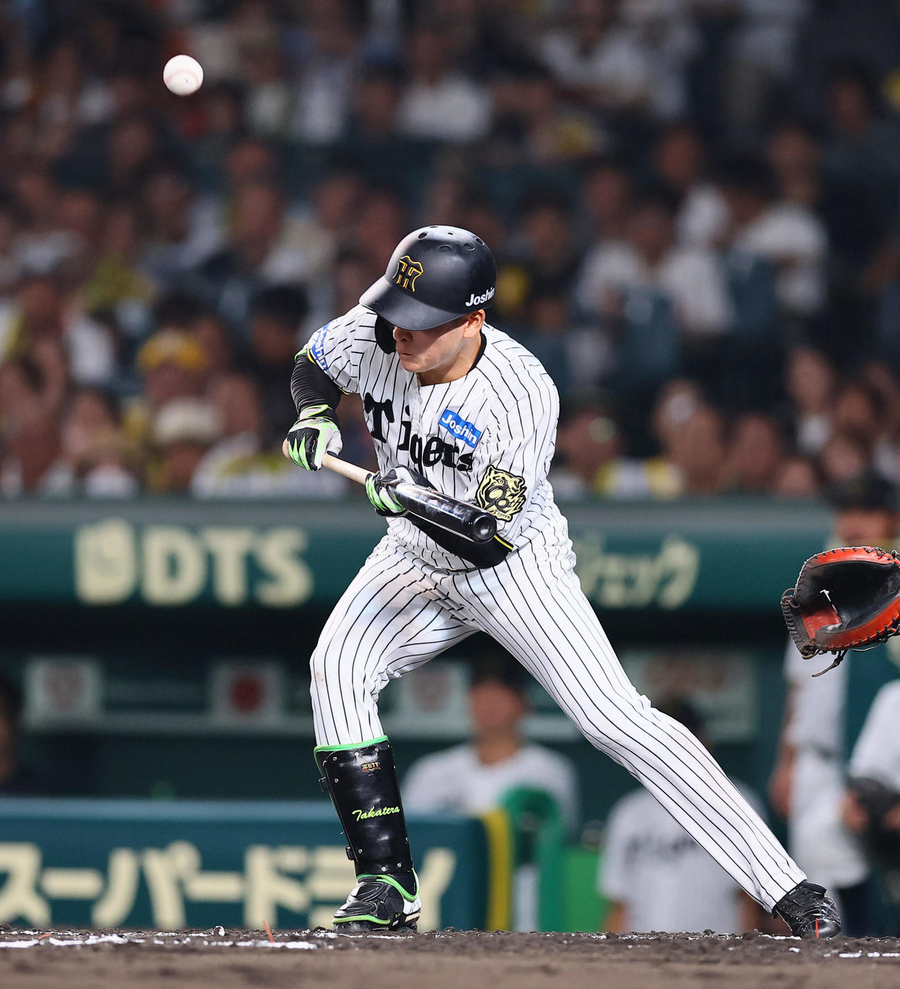 阪神対巨人　6回裏阪神無死一塁、代打高寺はバント失敗（撮影・藤尾明華）