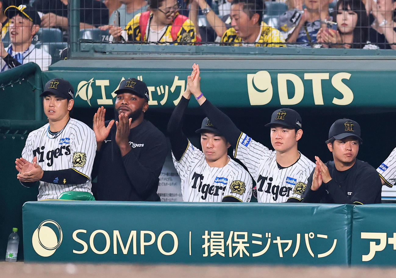 阪神対巨人　巨人に勝利し手をたたく高橋（右端）、タッチを交わす及川と石井（中央）（撮影・藤尾明華）