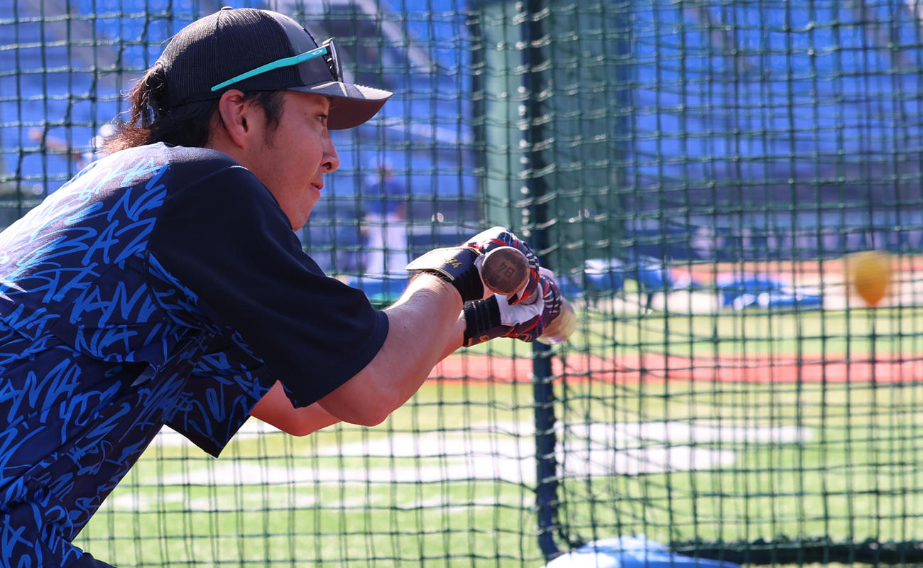DeNA対中日　試合前、バント練習を繰り返すDeNA度会（撮影・水谷安孝）