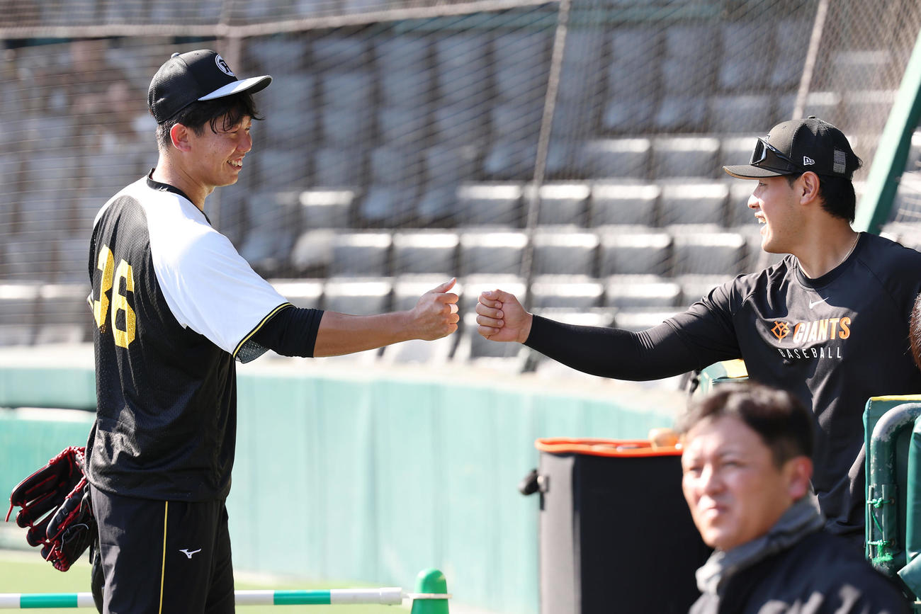 阪神対巨人　1軍に合流し、巨人岡本（右）とグータッチを交わす阪神畠（撮影・前田充）