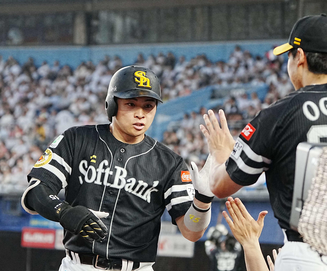 ロッテ対ソフトバンク　6回表ソフトバンク1死、谷川原（左）は右越えにソロ本塁打を放ちベンチのナインの祝福を受ける（撮影・小沢裕）