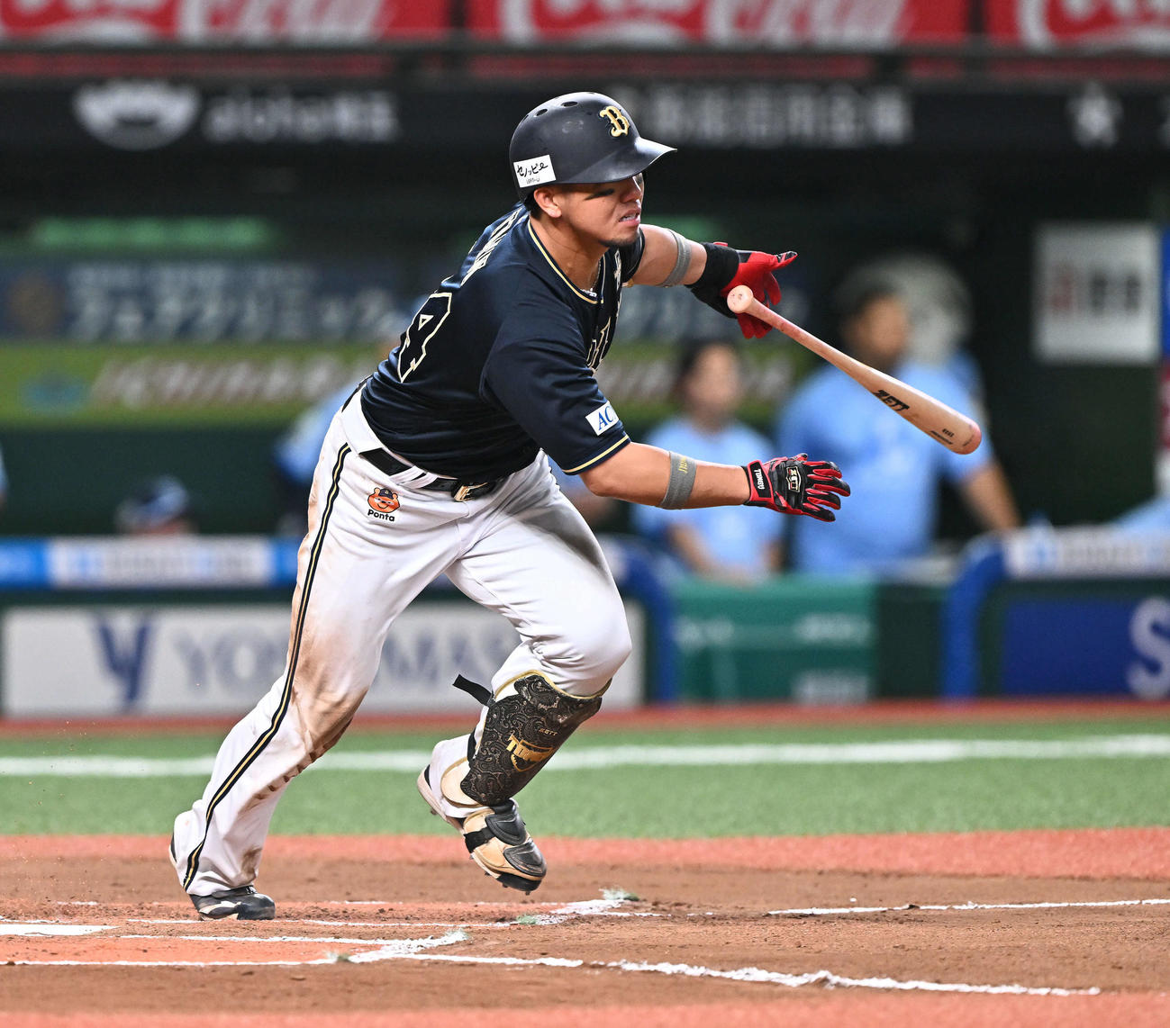 西武対オリックス　6回表オリックス無死、頓宮は右前打を放つ（撮影・滝沢徹郎）