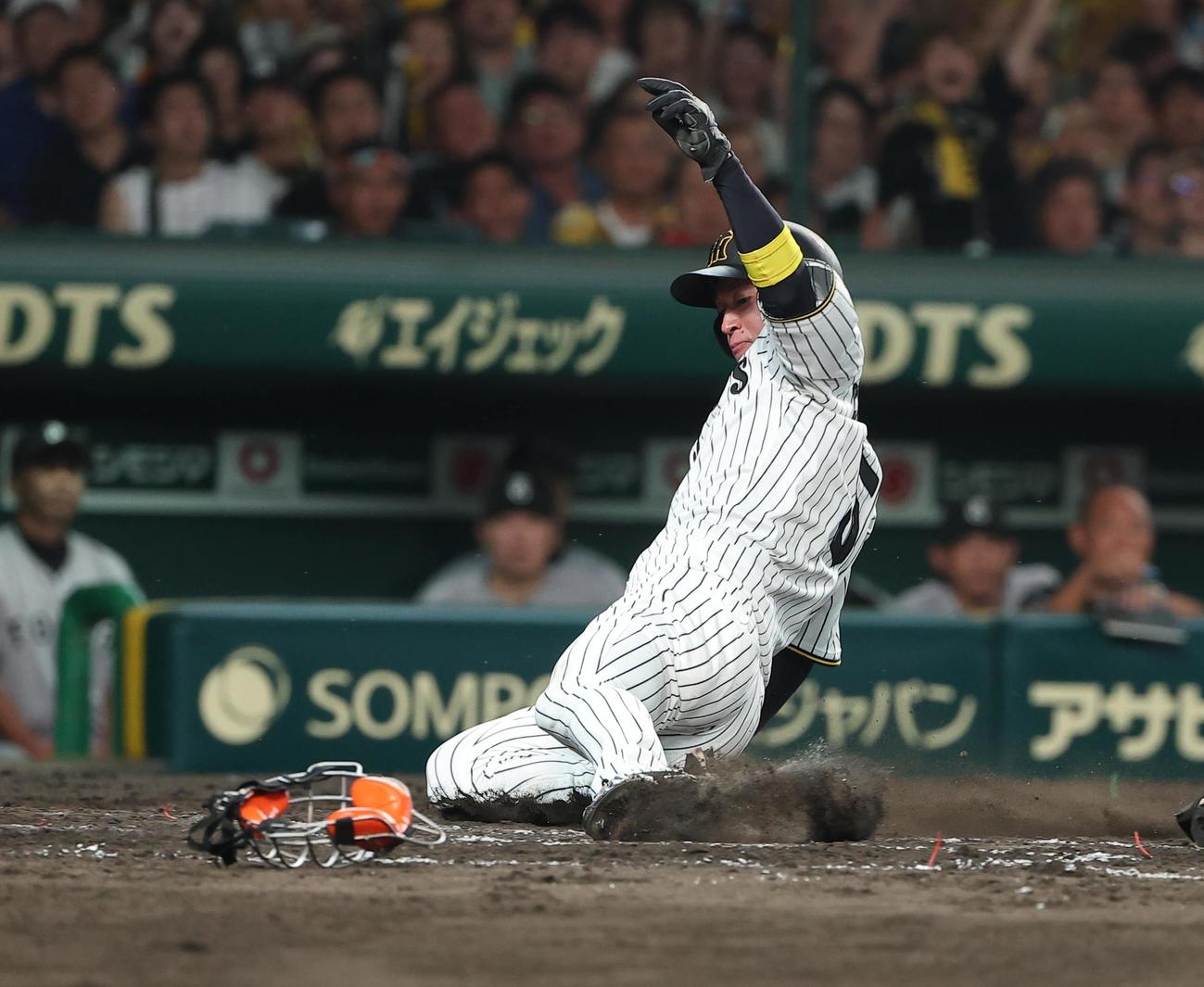 阪神対巨人　3回裏阪神1死一、二塁、近本は森下の先制適時打で生還する（撮影・上田博志）