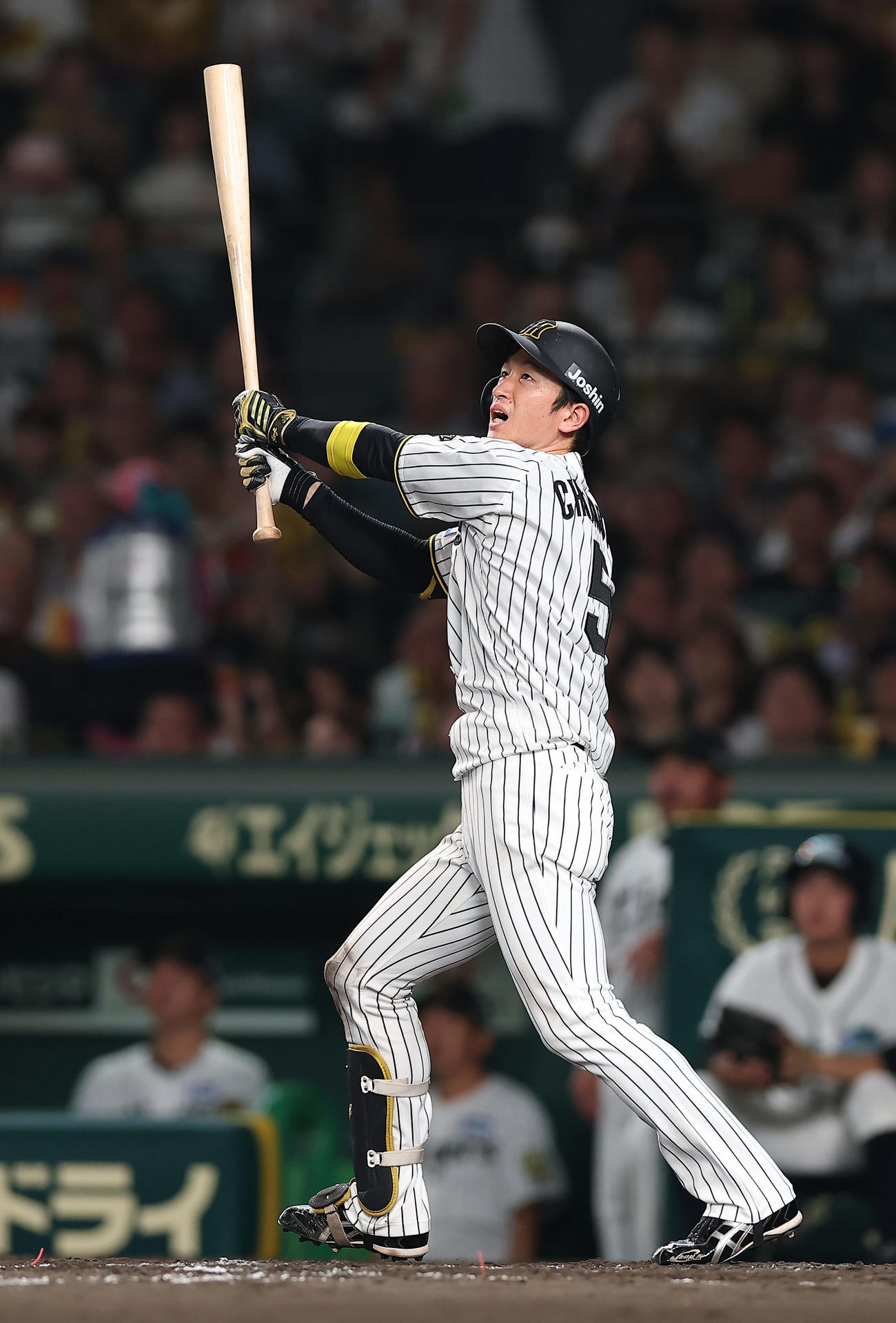 阪神対巨人　5回裏阪神一、二塁、左飛に倒れる近本（撮影・前田充）
