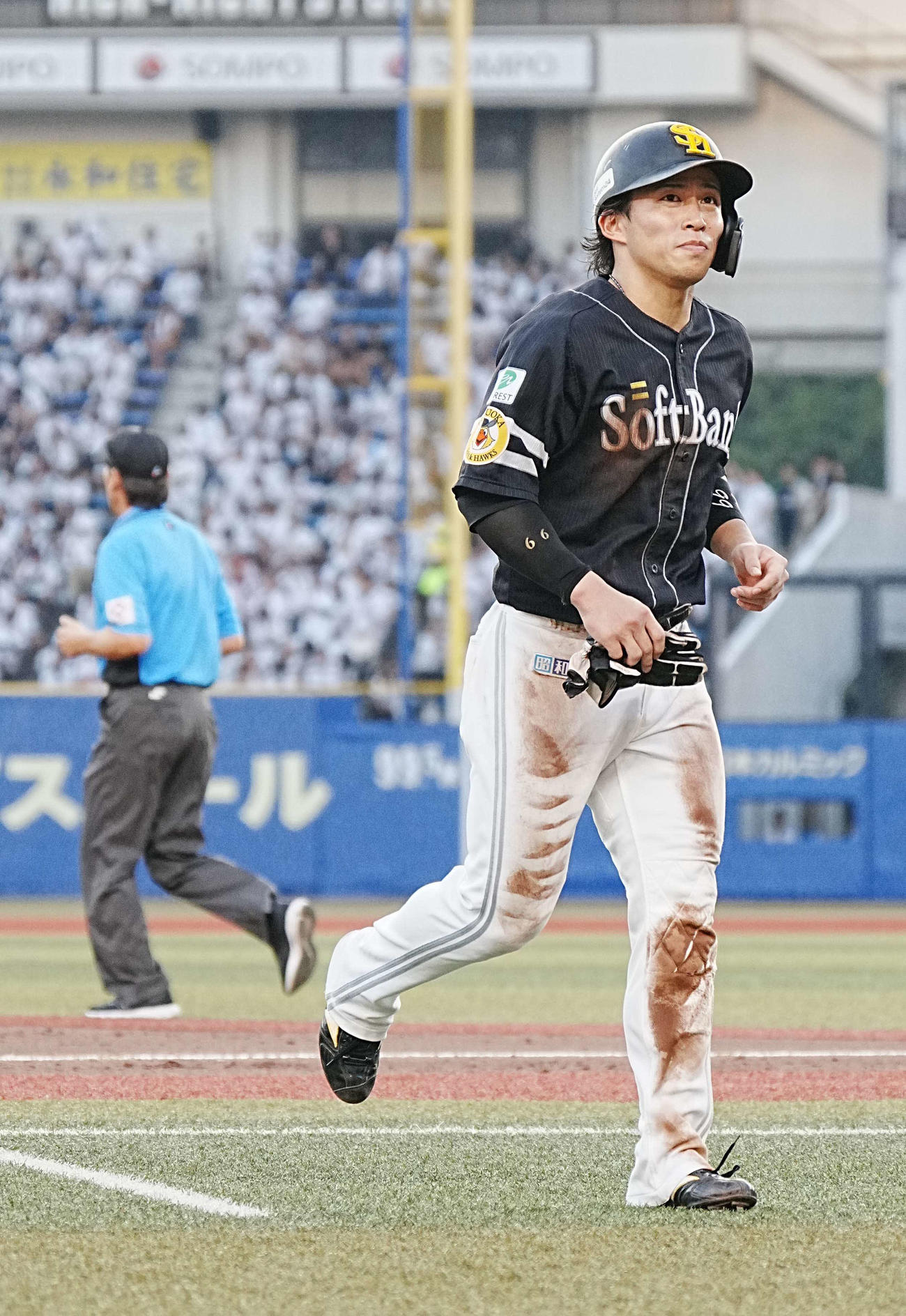 ロッテ対ソフトバンク　4回表ソフトバンク2死二塁、けん制死となりベンチへ引き揚げる二塁走者の野村（撮影・小沢裕）