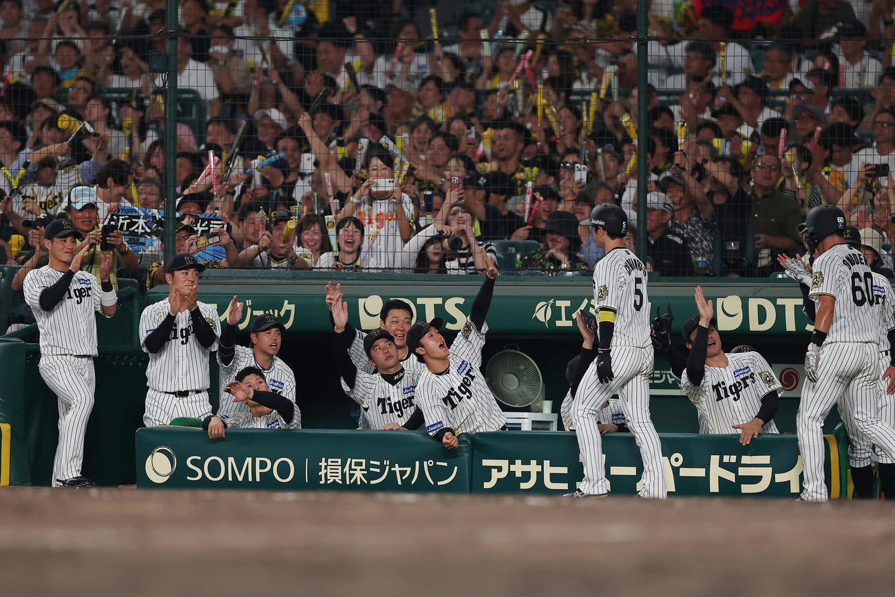 阪神対巨人　7回裏阪神2死二、三塁、中野の2点適時二塁打で生還した近本らを迎える阪神の選手たち（撮影・前田充）