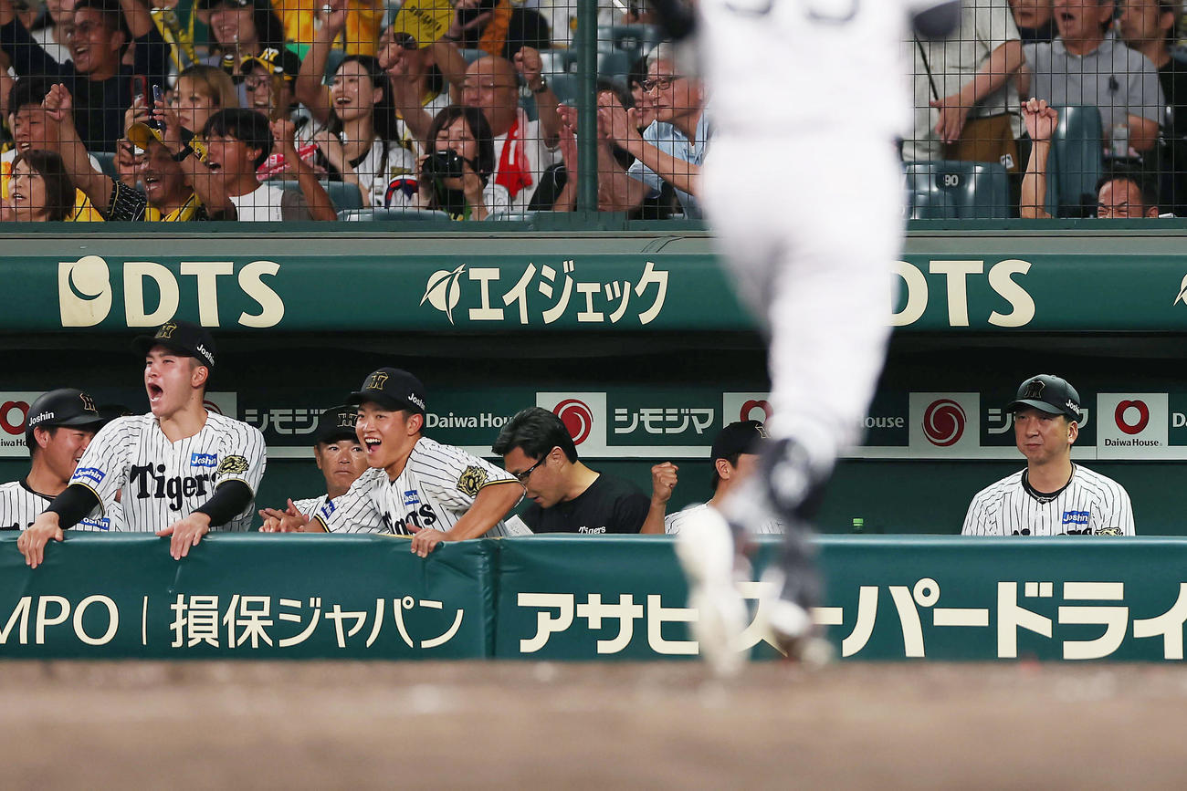 阪神対巨人　巨人に勝利するも、表情を崩さない藤川監督（右端）（撮影・前田充）
