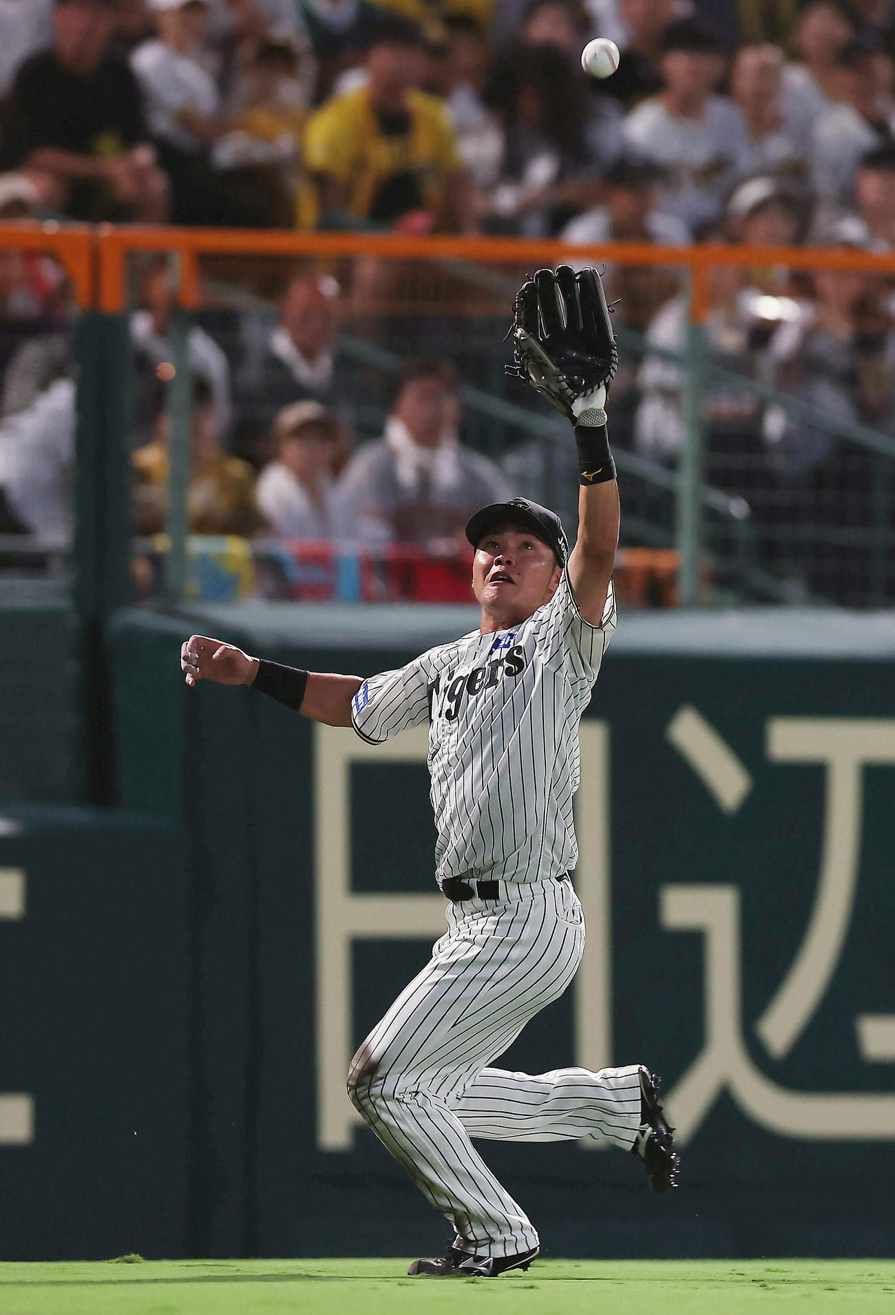 阪神対巨人　3回表巨人1死、丸の左飛を好捕する小野寺（撮影・前田充）
