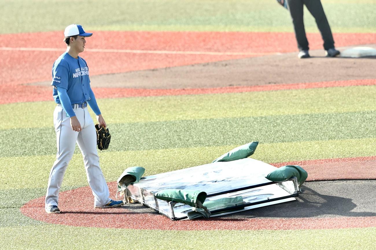 ロッテ対日本ハム　試合前、マウンドを確かめる日本ハム柴田（撮影・河田真司）