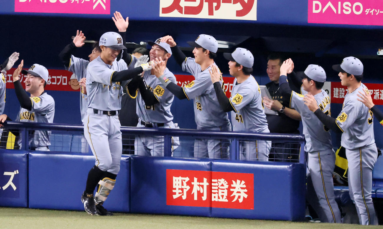 中日対阪神　3回表阪神1死一塁、熊谷敬宥は左越え2点本塁打を放ちベンチのナインとタッチする（撮影・加藤哉）