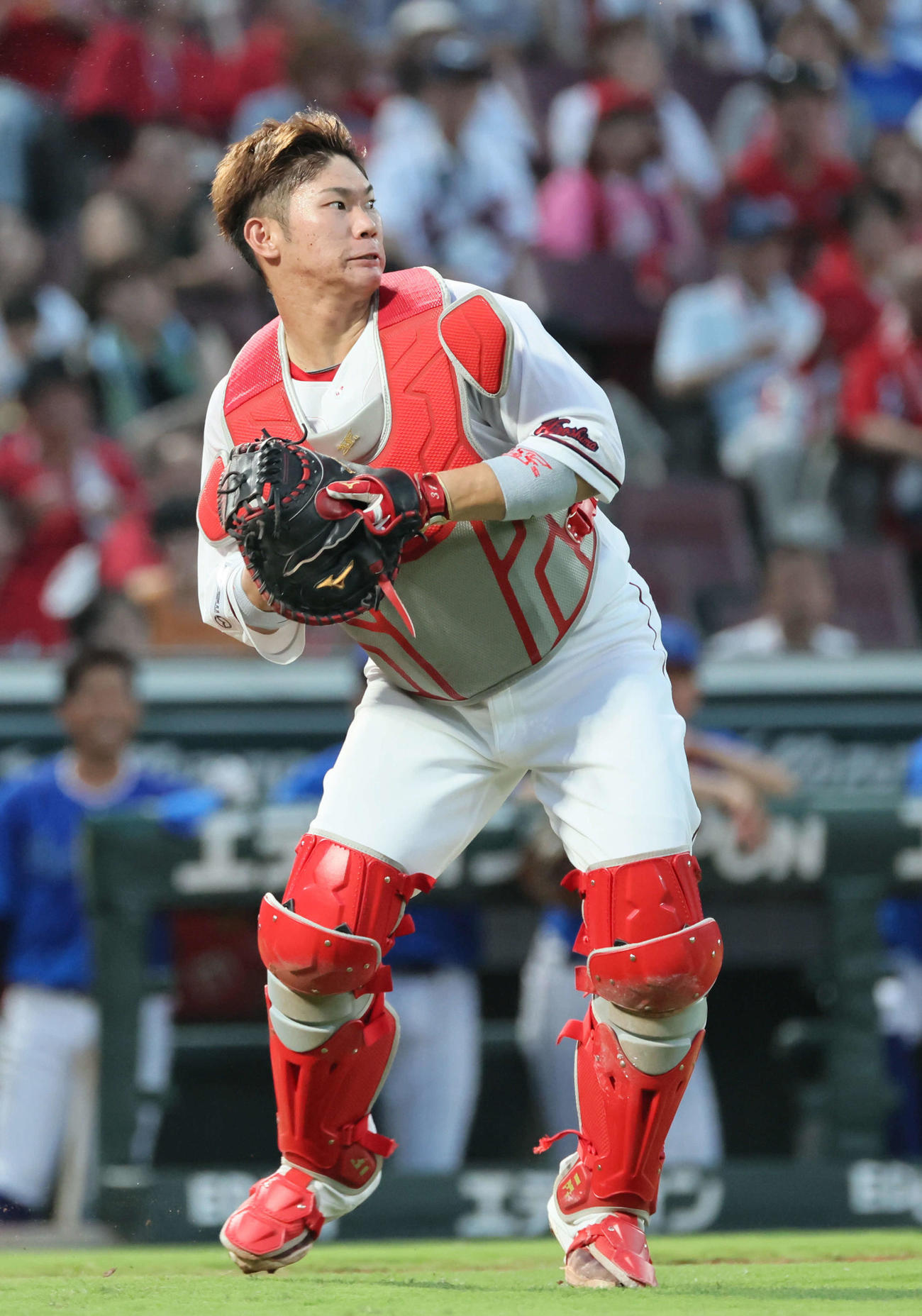 広島対DeNA 2回表DeNA1死一塁、打者ケイの時、二塁に投球、野選の坂倉（撮影・加藤孝規）
