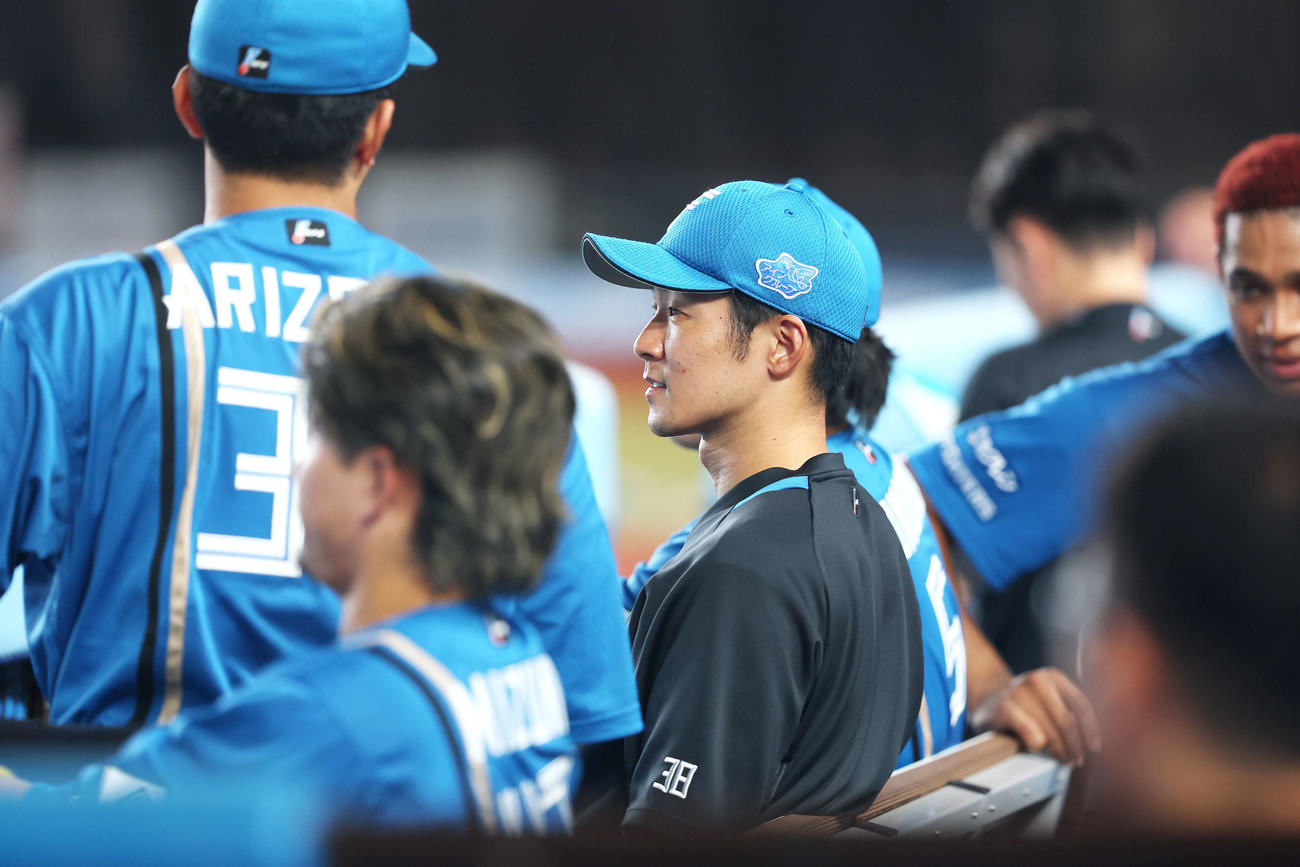 ロッテ対日本ハム　6回表、戦況を見守る石井（撮影・河田真司）