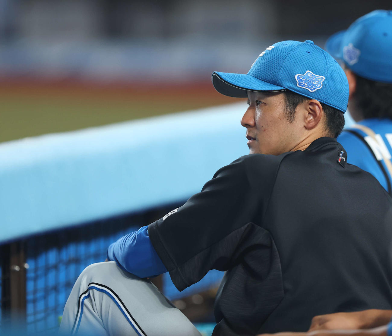 ロッテ対日本ハム　6回表、戦況を見守る石井（撮影・河田真司）