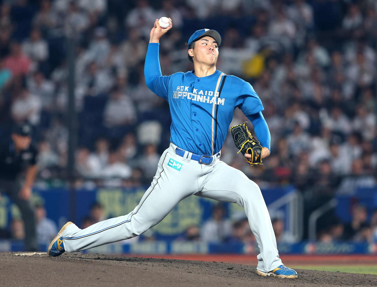 ロッテ対日本ハム　2回裏、力投する柴田（撮影・河田真司）