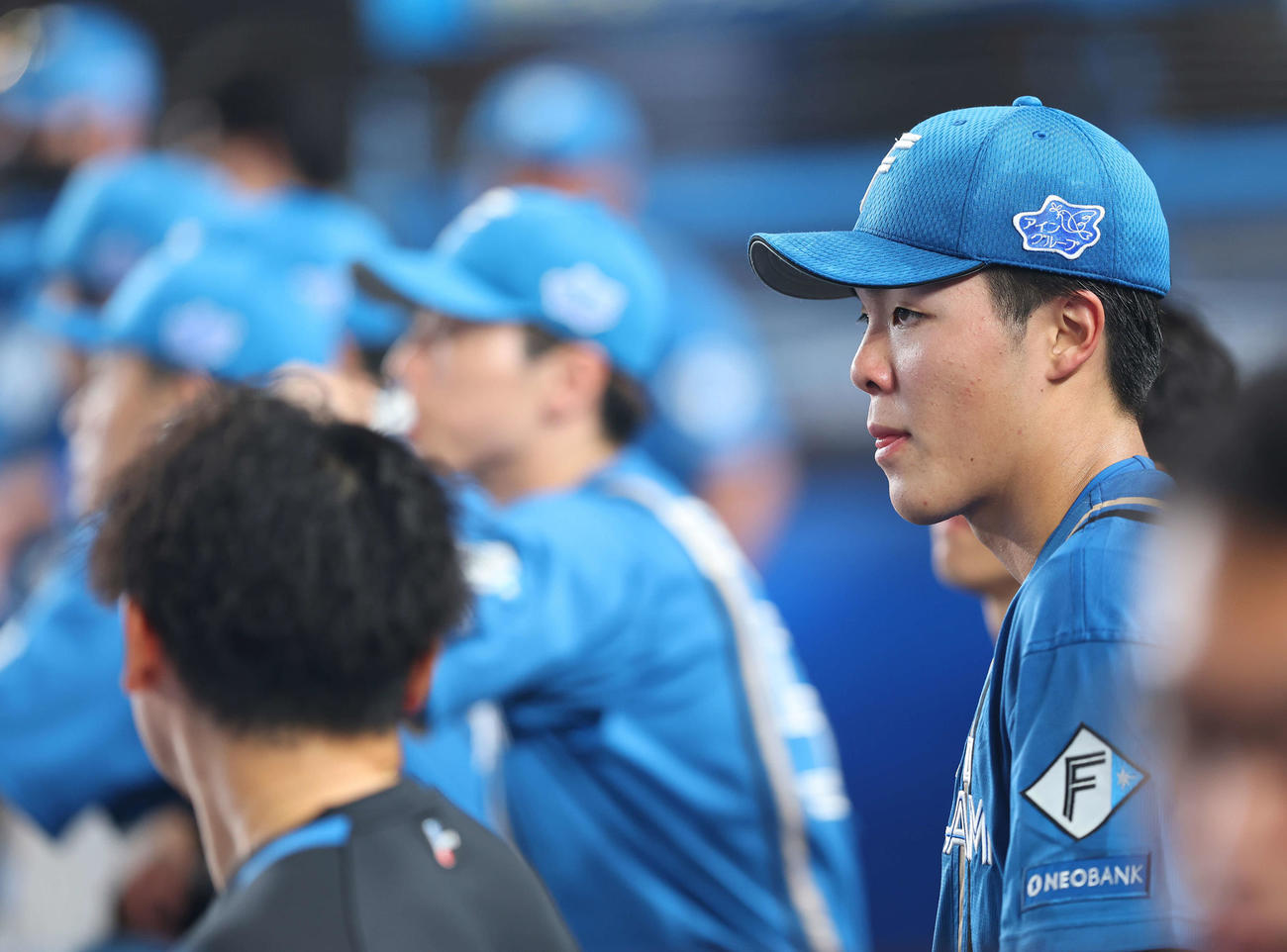 ロッテ対日本ハム　4回表、戦況を見守る柴田（撮影・河田真司）